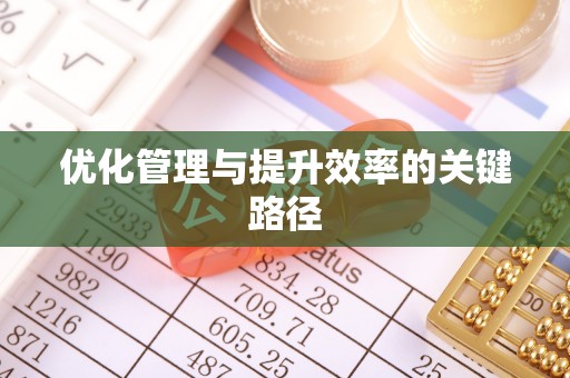 宁强优化管理与提升效率的关键路径