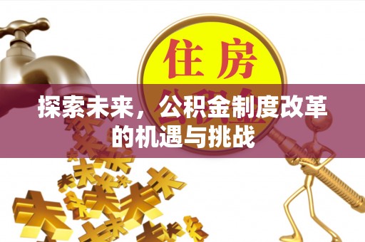 宁强探索未来，公积金制度改革的机遇与挑战