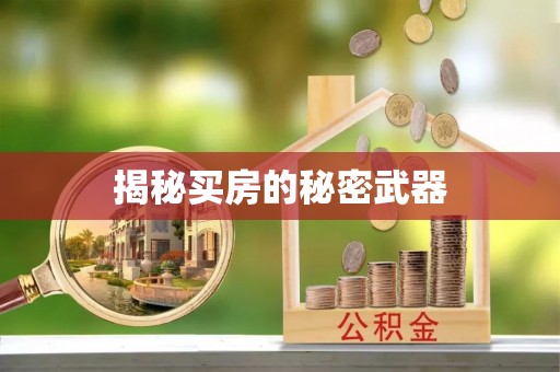 宁强揭秘买房的秘密武器
