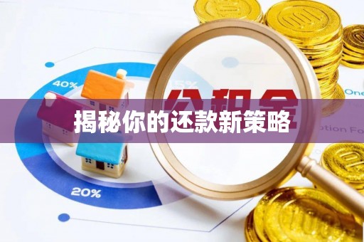 宁强揭秘你的还款新策略