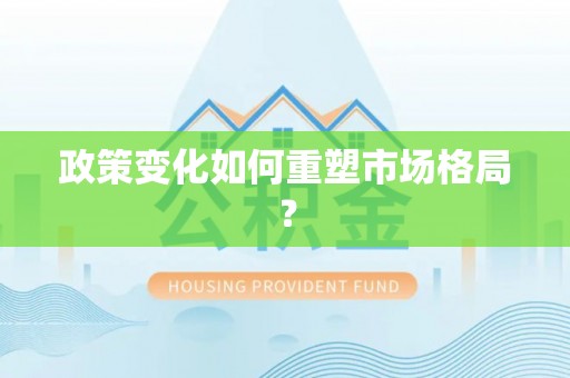 宁强政策变化如何重塑市场格局？
