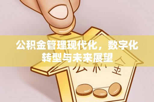 宁强公积金管理现代化，数字化转型与未来展望