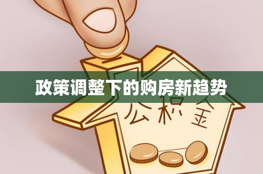 宁强政策调整下的购房新趋势