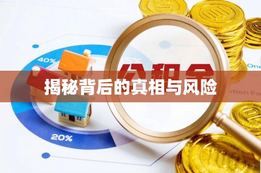 宁强揭秘背后的真相与风险