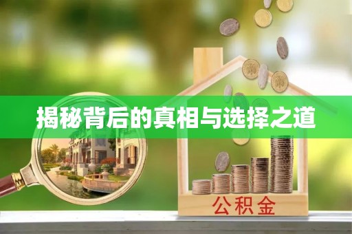 宁强揭秘背后的真相与选择之道