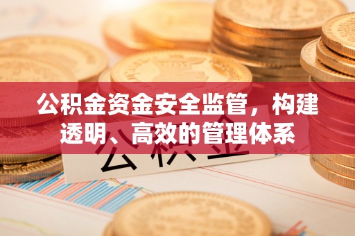 宁强公积金资金安全监管，构建透明、高效的管理体系