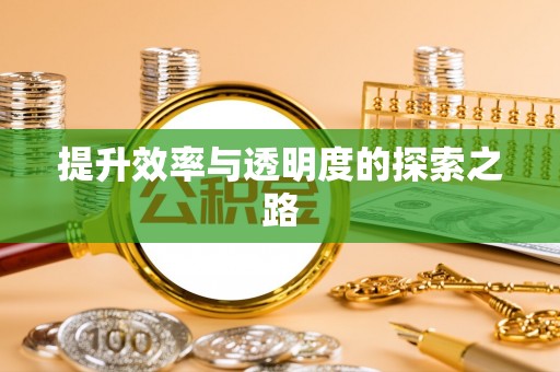 宁强提升效率与透明度的探索之路