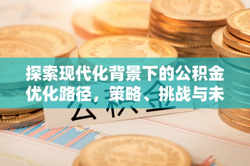 宁强探索现代化背景下的公积金优化路径，策略、挑战与未来展望