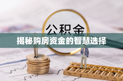 宁强揭秘购房资金的智慧选择