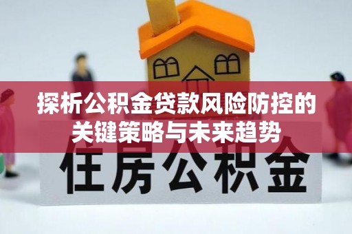 宁强探析公积金贷款风险防控的关键策略与未来趋势