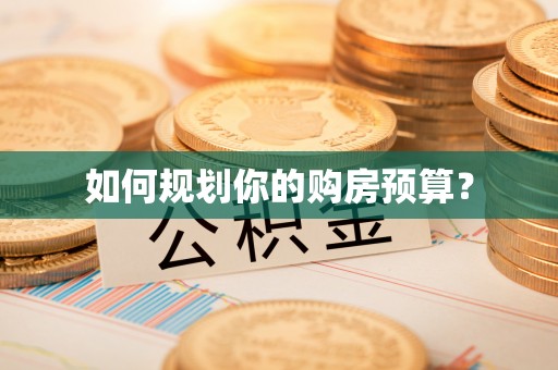 宁强如何规划你的购房预算？