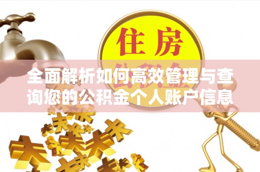 宁强全面解析如何高效管理与查询您的公积金个人账户信息