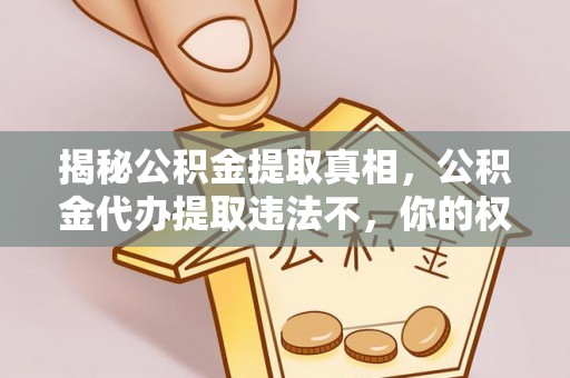 宁强揭秘公积金提取真相，公积金代办提取违法不，你的权益如何保障？