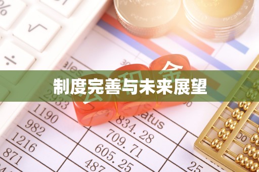 宁强制度完善与未来展望