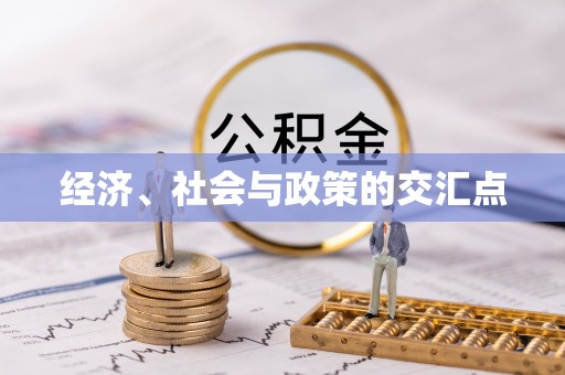 宁强经济、社会与政策的交汇点