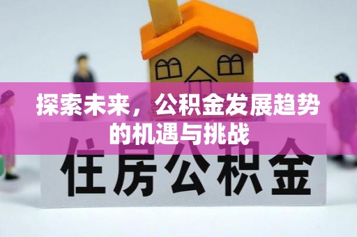 宁强探索未来，公积金发展趋势的机遇与挑战