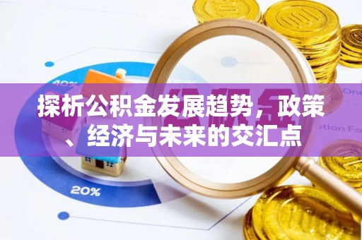 宁强探析公积金发展趋势，政策、经济与未来的交汇点