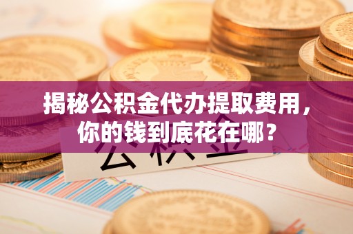 宁强揭秘公积金代办提取费用，你的钱到底花在哪？