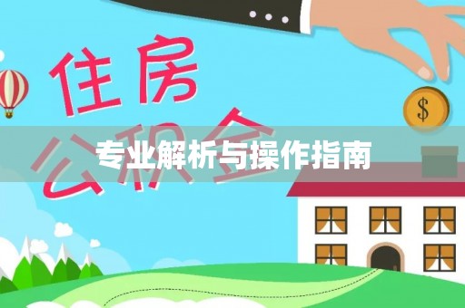 宁强专业解析与操作指南