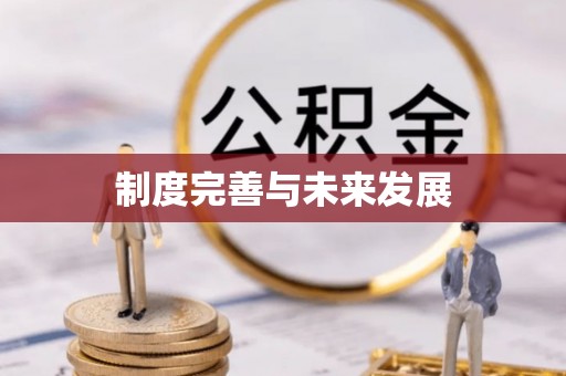 宁强制度完善与未来发展