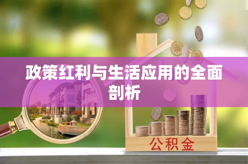 宁强政策红利与生活应用的全面剖析