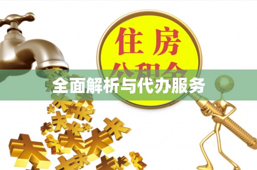 宁强全面解析与代办服务