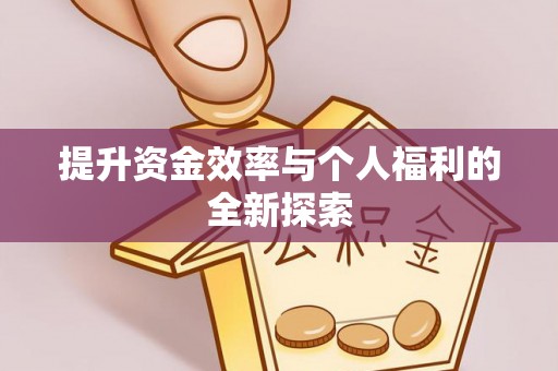 宁强提升资金效率与个人福利的全新探索