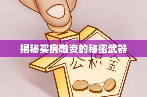 宁强揭秘买房融资的秘密武器