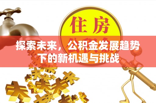 宁强探索未来，公积金发展趋势下的新机遇与挑战