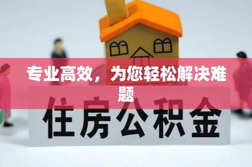 宁强专业高效，为您轻松解决难题