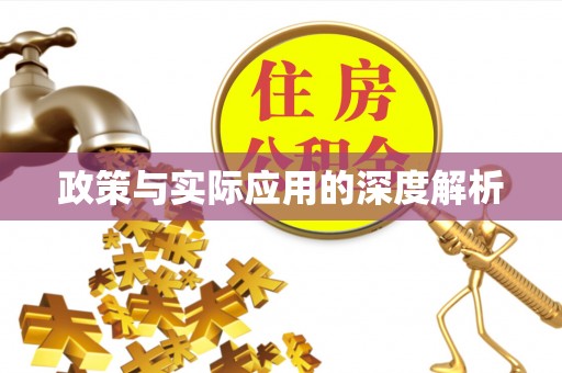 宁强政策与实际应用的深度解析