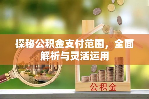 宁强探秘公积金支付范围，全面解析与灵活运用