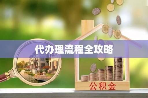 宁强代办理流程全攻略