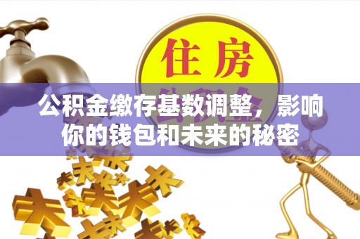 宁强公积金缴存基数调整，影响你的钱包和未来的秘密