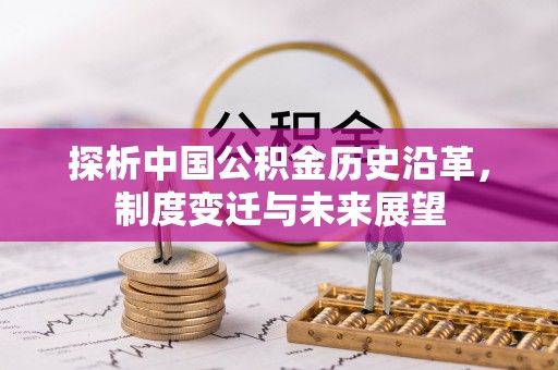 宁强探析中国公积金历史沿革，制度变迁与未来展望