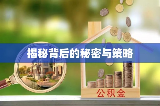 宁强揭秘背后的秘密与策略
