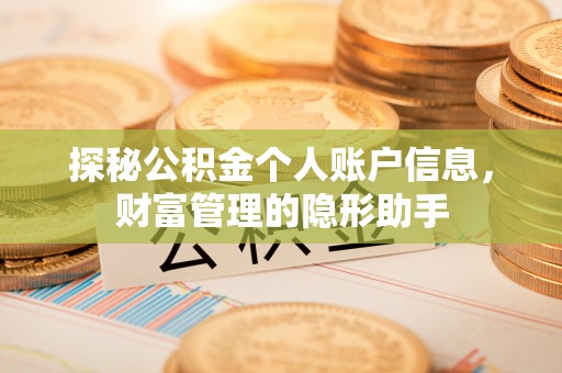 宁强探秘公积金个人账户信息，财富管理的隐形助手