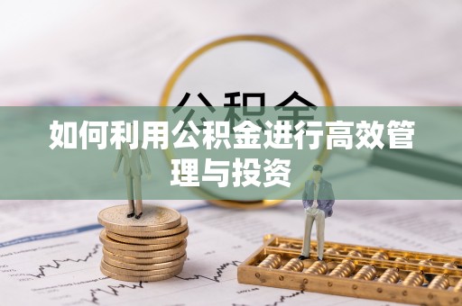 宁强如何利用公积金进行高效管理与投资