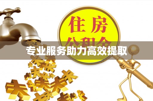 宁强专业服务助力高效提取