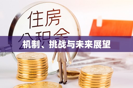 宁强机制、挑战与未来展望