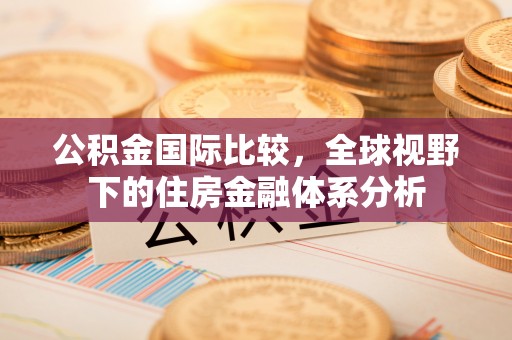 宁强公积金国际比较，全球视野下的住房金融体系分析